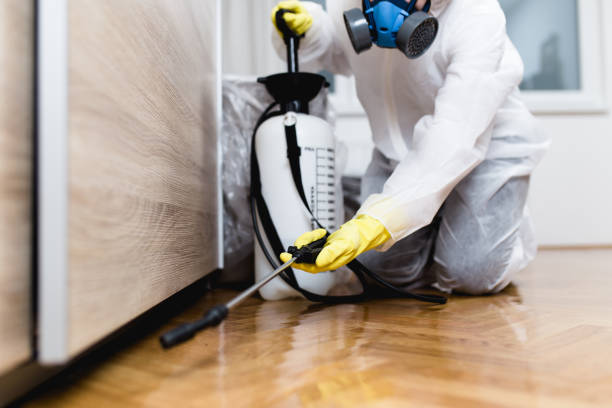 Best Wildlife Control Services  in Washingtonville, NY