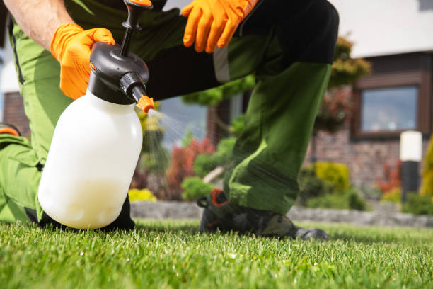 Best Residential Pest Control  in Washingtonville, NY