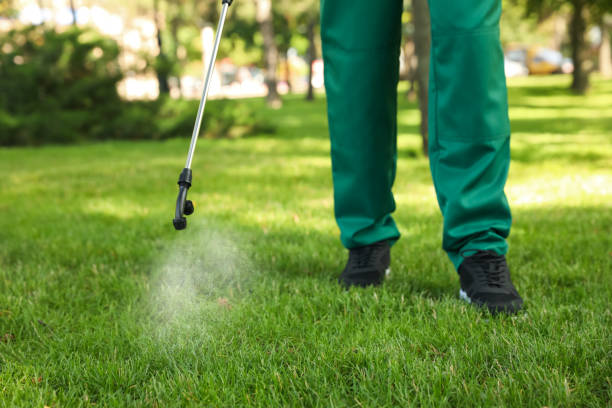 Best Pest Removal Services  in Washingtonville, NY