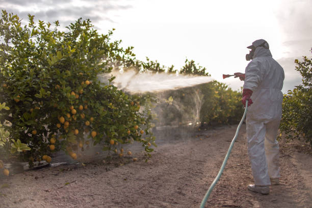 Best Exterminator Services  in Washingtonville, NY