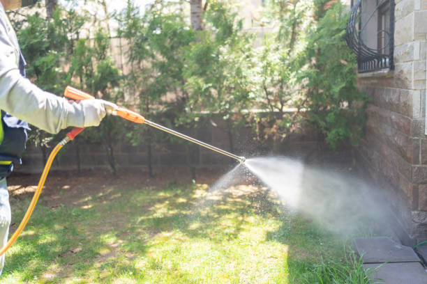 Best Mosquito Control Services  in Washingtonville, NY