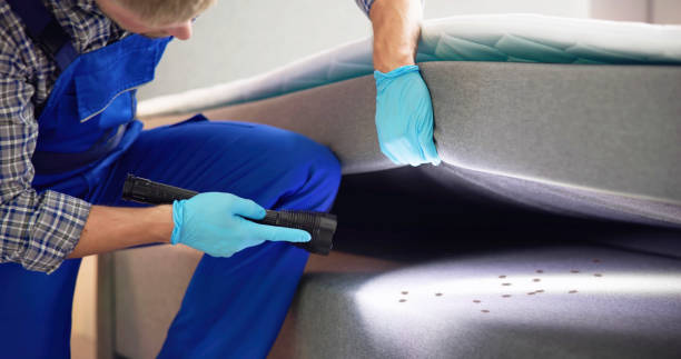 Best Affordable Pest Control Services  in Washingtonville, NY