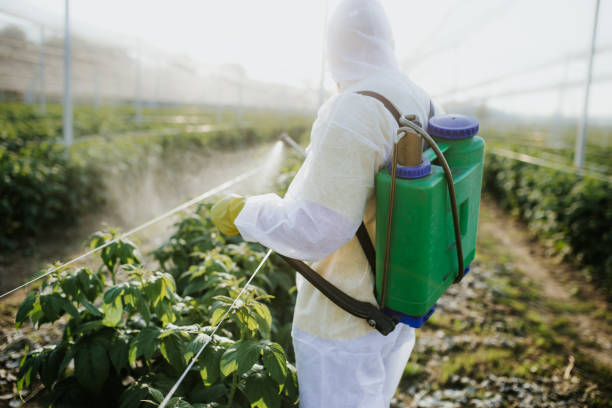 Best Termite Control Services  in Washingtonville, NY